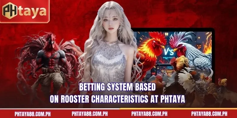  Betting system based on rooster characteristics at PHTAYA