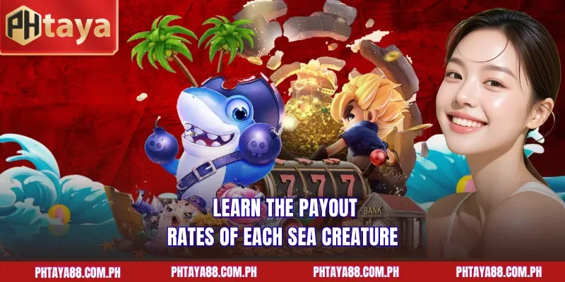  Learn the payout rates of each sea creature