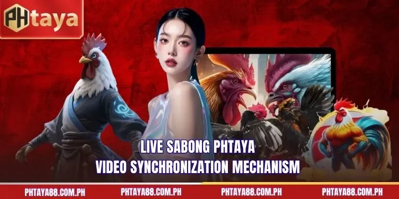  Live Sabong PHTAYA video synchronization mechanism
